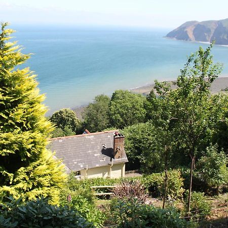 North Walk House Bed & Breakfast Lynton Exterior foto