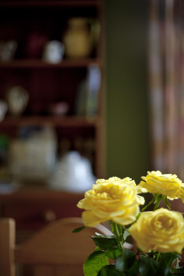 North Walk House Bed & Breakfast Lynton Exterior foto